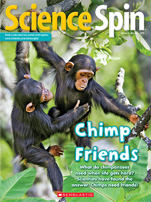 Chimp Friends - November/December 2019