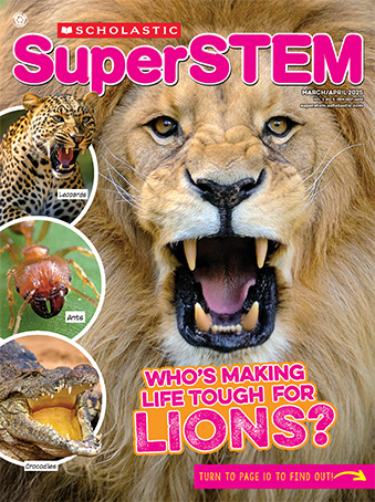 Magazine Issue Cover